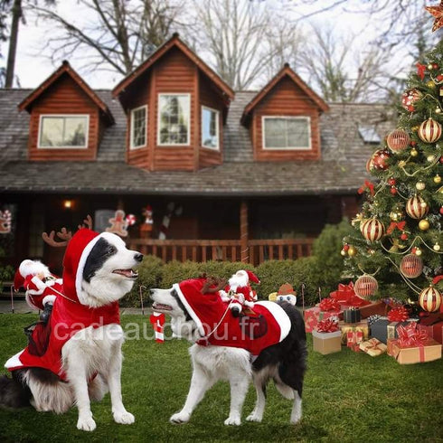 Costume traineau Père Noel Chien